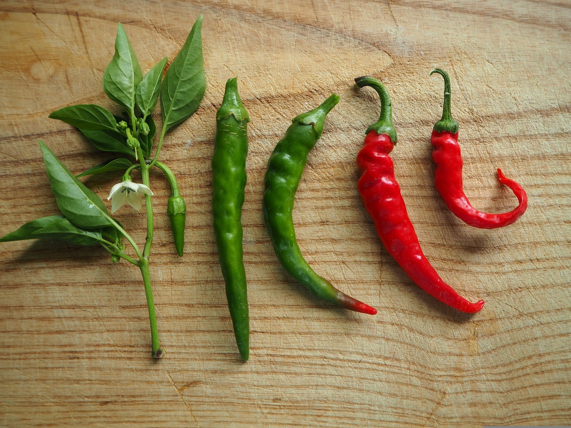 Green and red chillies