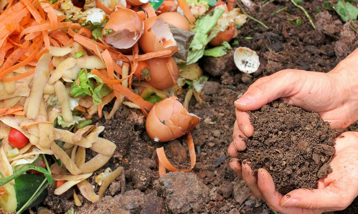 Hands holding vegetable peelings