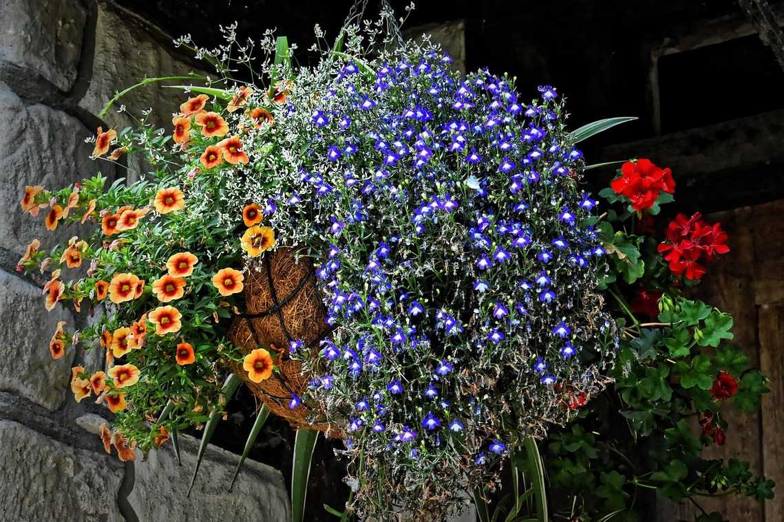 A basket planted with flowers