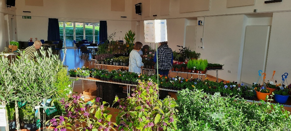 Plant sale