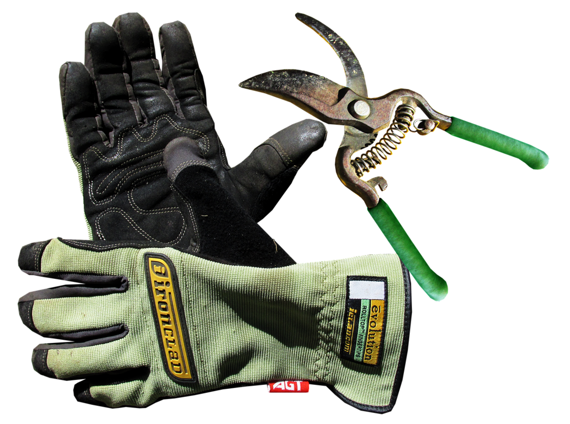 Gloves and secateurs