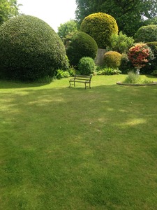 Garden Beds 7