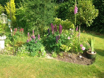 Garden Beds 8