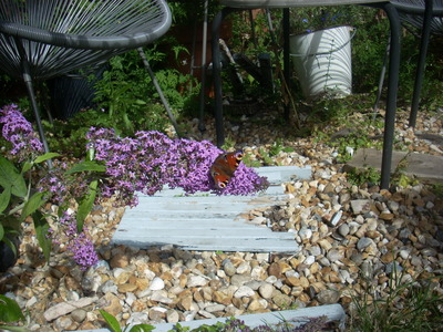 Garden Beds 11
