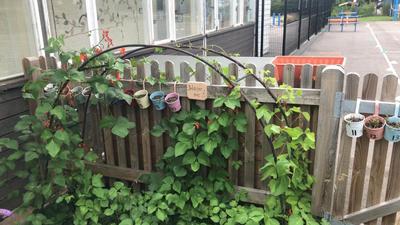 Garden Beds 12