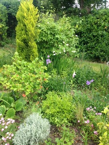 Garden Beds 13