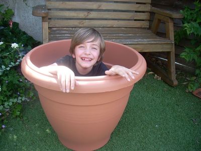 Potted Plants 6