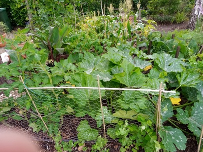 Vegetables