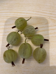 Vegetables 2