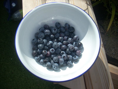 Vegetables 9
