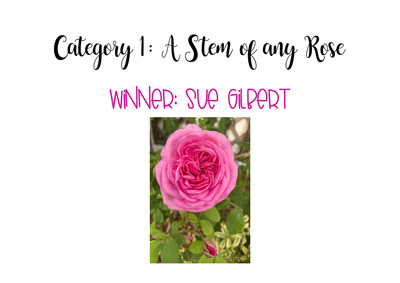 category-1