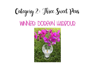 category-2