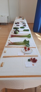 Fruit and vegetables