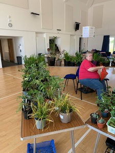 Houseplants were a hit with customers