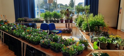 Before the crowds arrived!