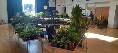 October 2023 Plant Sale