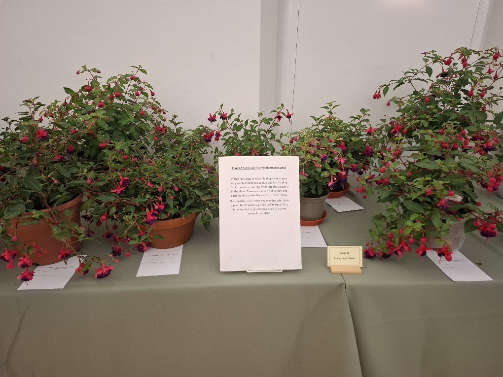 2025 flower show 2