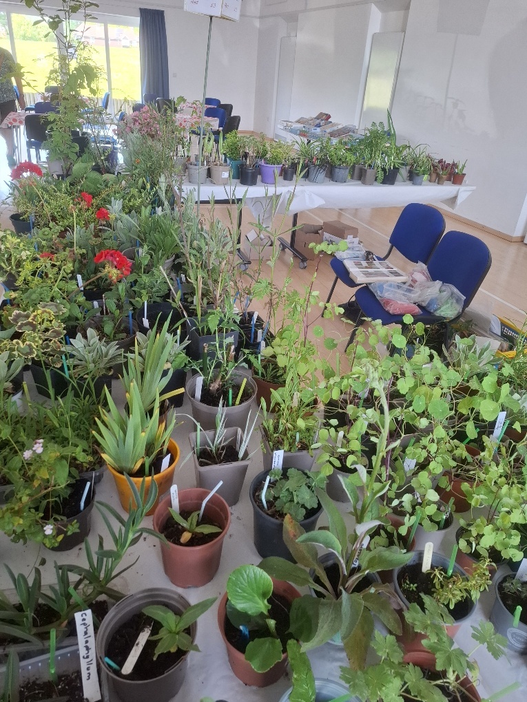 Plant Sale 2026