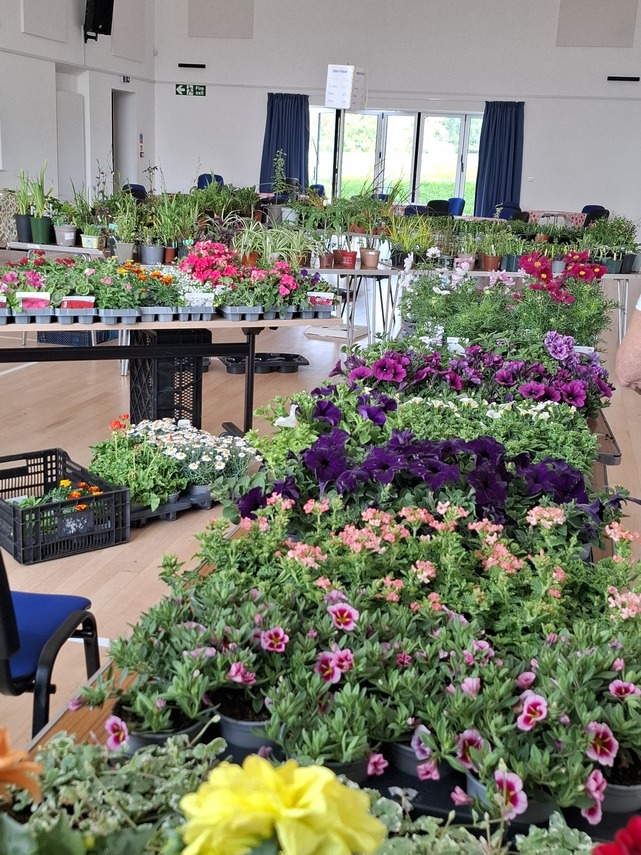 plantsale1